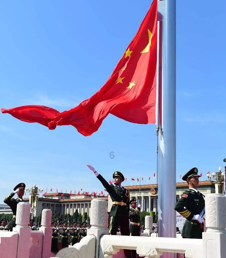 虫虫助手下载